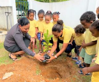 Parent-Kinderland-staff-and-children-planting-the-second-tree